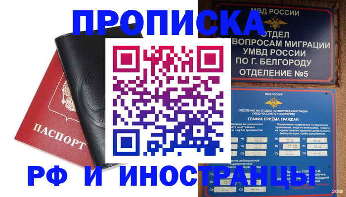 прописка поиск в Нижнекамске